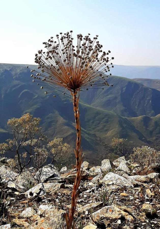 Pousada Perola Mineira Piuí Exterior foto